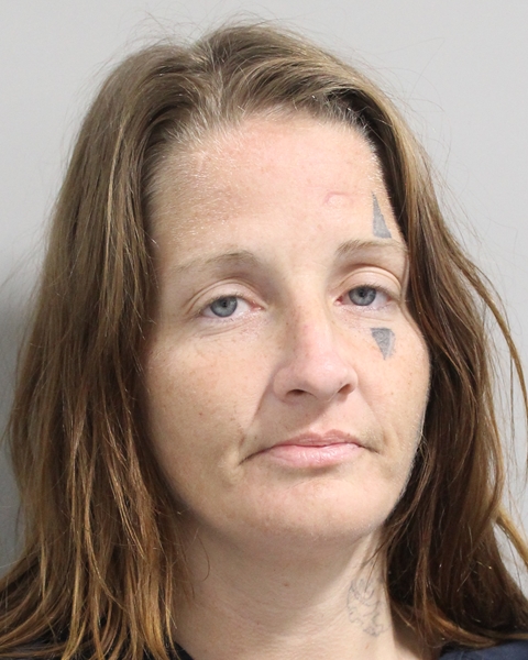 Kristin Ann Mittelstadt